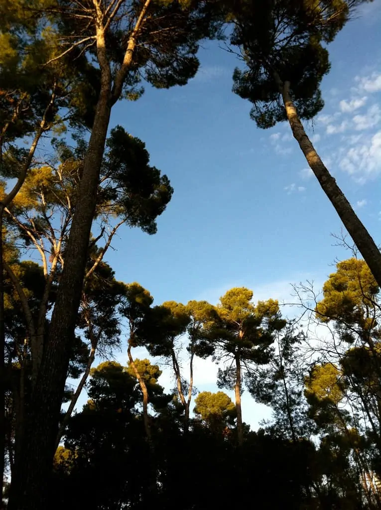 Albacete Albacete
